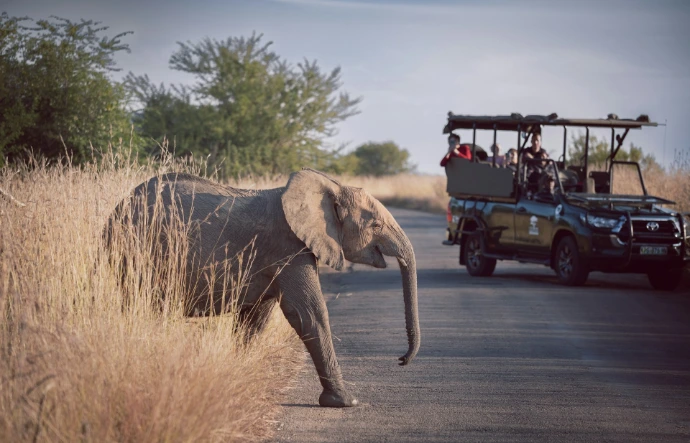 an elephant carrying people